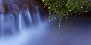 10sekundi (8) nikola hrzenjak