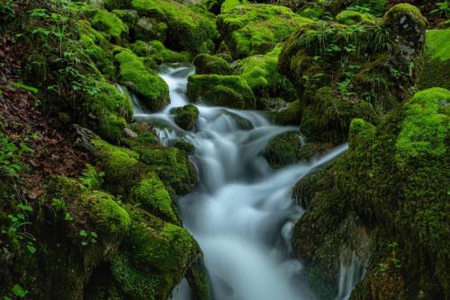 Davor Malnar, Izvor Čabranke