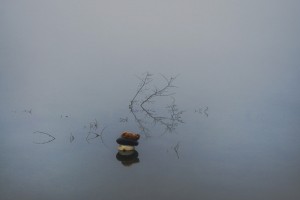 Danijel Mihaljković-Čudoviste