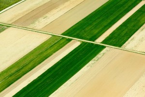 Davorin Mance-Ruralna geometrija 2