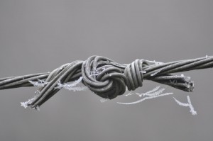 Dorian Šipoš-Freedom