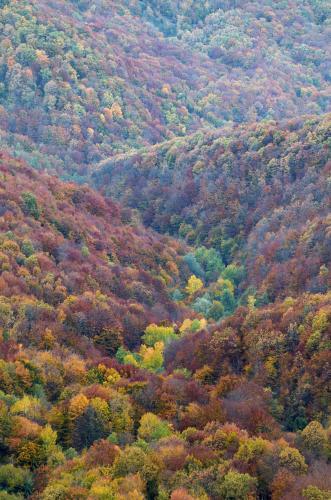 Filip Lučin,  Jesenska tapiserija