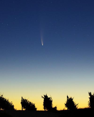 Filip Lučin, Neowise nad vinogradom