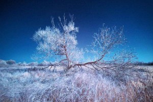 Filip Lučin Nestvarna stvarnost Ying-Yang