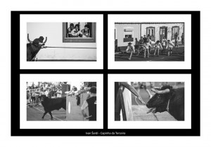 Ivan Šardi - Capinha da Terceira