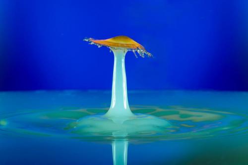 Vjeran Petrović,Kapi 3