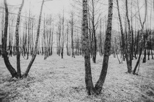 Lucija Trupkovic - Kraj