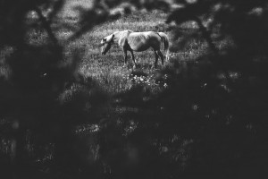 Lucija Trupkovic - S one strane