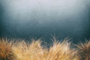 Marko Gotal - Motion on ice