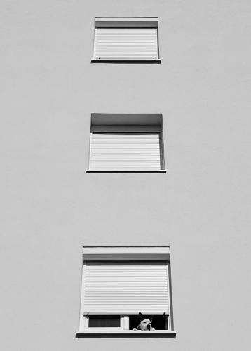 Marko Kiš, Ubija me dosada Čakovečkih ulica