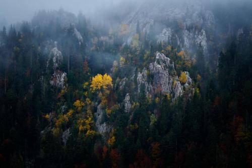 Martin Mlinaric, Atmosferik