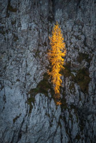 Martin Mlinaric, Intimate Landscape