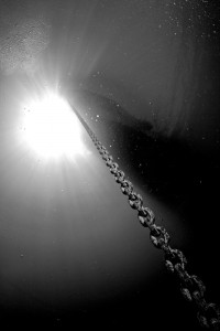 Nikola Hrženjak-karike