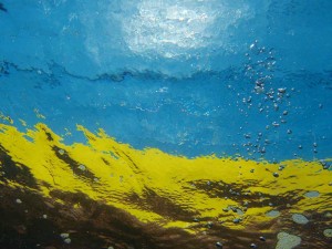 Nikola Hrženjak boje nikola