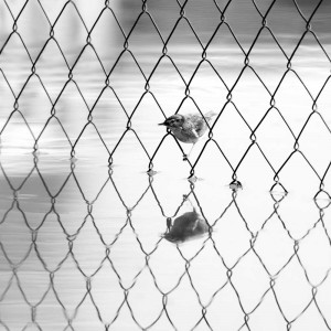 Petar Sabol Sharpeye-Mirrored prison