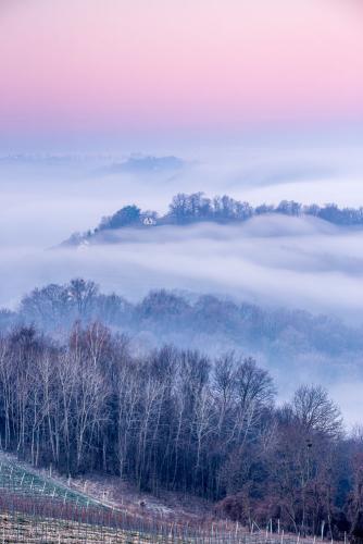 Davorin Mance, Sanjiva zora