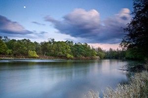 Sinisa Ludas Vode Mura's lullaby