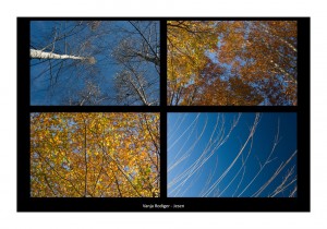 Vanja Rodiger - Jesen