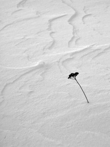 Vanja Vukadinović-Zimska minijatura