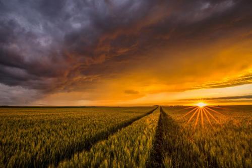 Davorin Mance, Zlatni zalazak