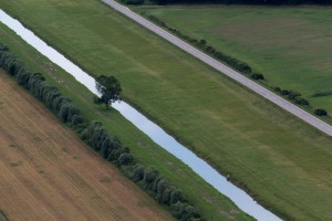 Zoran Kolarić--Istarske paralale
