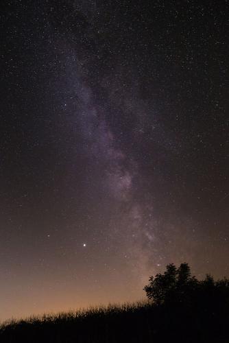 Davor Žerjav, Na brežuljku