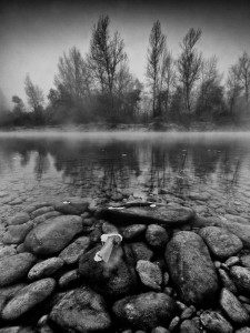 dravska lutanja crna drava (4)