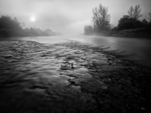 dravska lutanja crna drava (6)