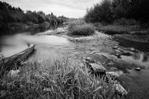 dravska lutanja crna drava (8)