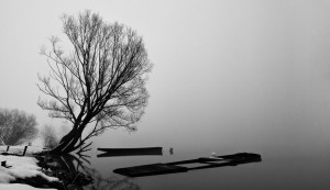 dravska lutanja dravski con (3)