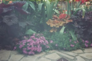 izlozba camera obscura (01)