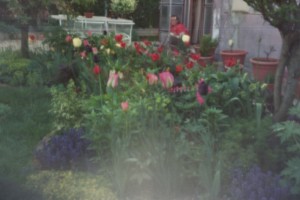 izlozba camera obscura (02)