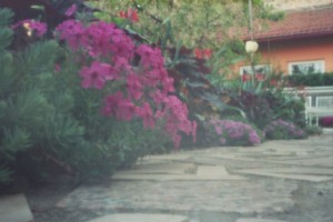 izlozba camera obscura (03)