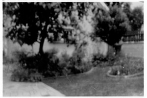 izlozba camera obscura (07)