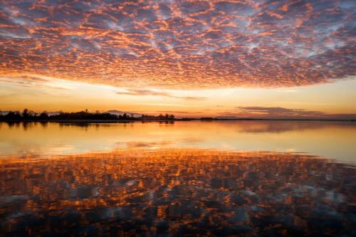Siniša Ludaš, Dravska refleksija