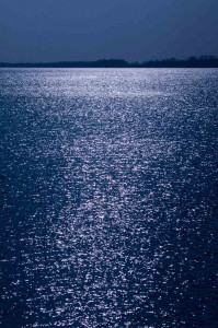 sinisa ludas - noon moonlight