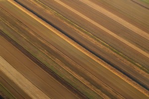 vanja.rodiger.pomor-dijagonala