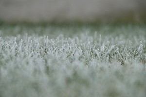 vanja.rodiger.pomor-zima