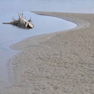 Željko Ovčar-Uvala