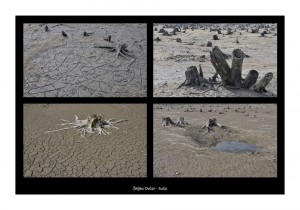 Željko Ovčar - Suša