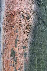 Željko Ovčar Abstrakt A2