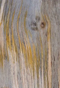 Željko Ovčar Abstrakt A3