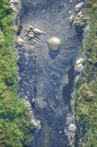 Željko Ovčar Abstrakt A4